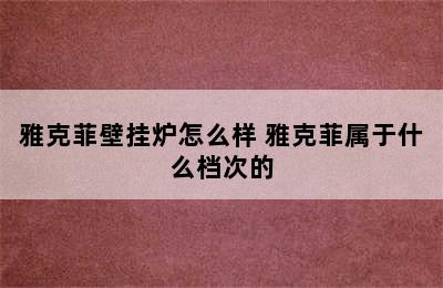 雅克菲壁挂炉怎么样 雅克菲属于什么档次的